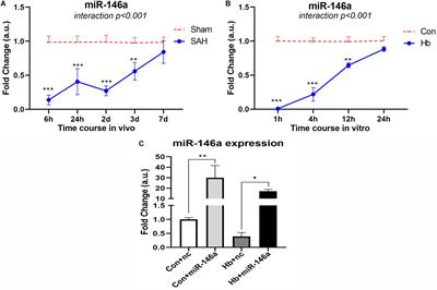 MiR-146a Ameliorates Hemoglobin-Induced Microglial Inflammatory Response via TLR4/IRAK1/TRAF6 Associated Pathways